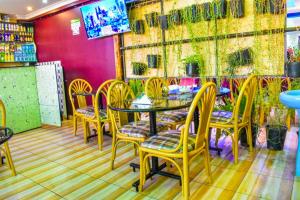 The Forest View Resort ltd