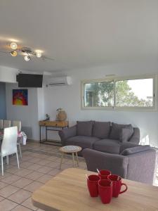 Appartements Appartement 7 personnes face mer 7BLION37 : photos des chambres