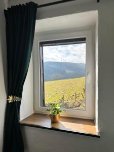 harmony holiday, Pension