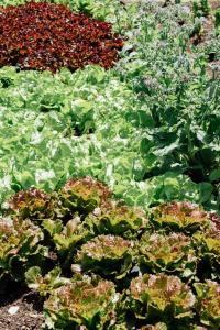 Landgasthof Paradiesli