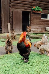 Landgasthof Paradiesli