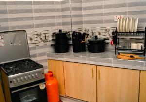 Elegant 2BR Apartment in Nanyuki