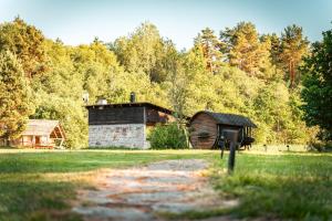 Saarelux Riverise Villa