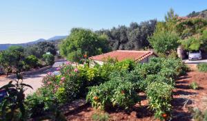 Panorama Apartments Zakynthos Greece