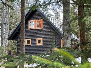 Cosy Lodge Pokljuka 