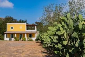 Casa Aurelia 10 min dal Porto 5 dal Cratere - Vulcano