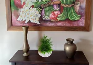 ツ Izalco Volcano Suites