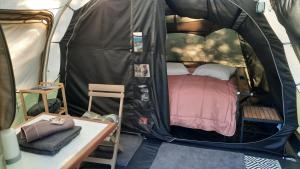 Le Phoenix de la Palmeraie