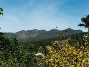 Knuckles View Holiday Home - 卡卢特勒