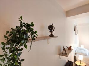 Appartements L-Elegant - Focalimmo : photos des chambres