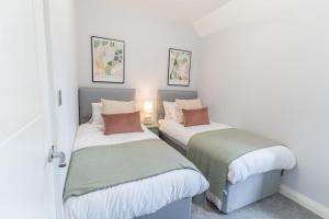 The Enchanting Silver Birch Retreat, New Forest