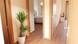 Achard Marina Apartment