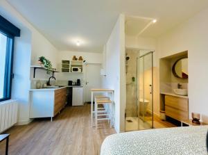 Appartements Mini Studio Tout confort - acces facile Nantes et Vendee : Appartement 1 Chambre