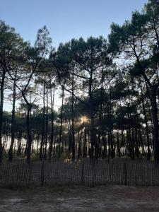 Jolie maison face à locéan Biscarrosse Plage