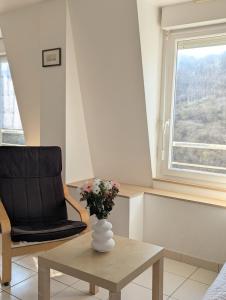 T3 vue mer - face à la plage et au sentier des douaniers