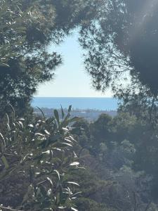 Chalet T3 46 personnes à Agde