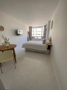 Great Studio near the sea