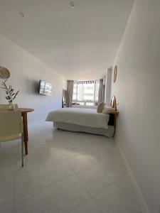 Great Studio near the sea