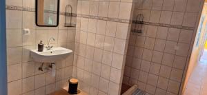 Charming farmhouse in Poroszl in Hungary on the Tisza Lake