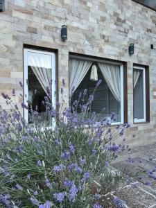 Casa nusa - 3hvězdičkové hotely ve městě Esquel