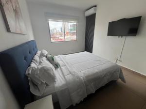 Blue Dream in San Francisco