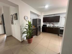 Blue Dream in San Francisco