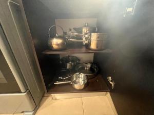 Blue Dream in San Francisco