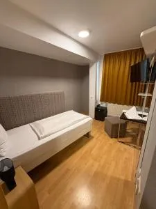 Hotel Eurocity - 罗德高