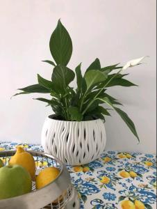 Boutique Apartment blue 3