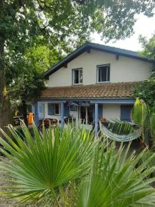 Shifting Sands Surf Camp - 拉本讷