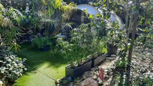 Le Phoenix de la Palmeraie