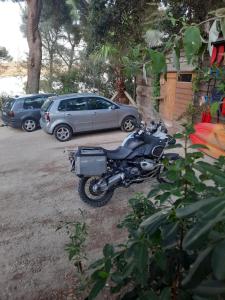 Le Phoenix de la Palmeraie