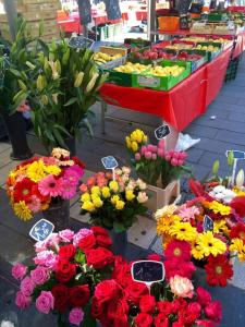 Ma place au sud Nice 604