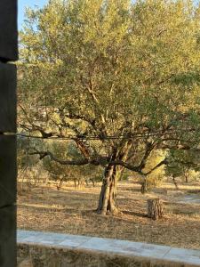 Kontos Village House