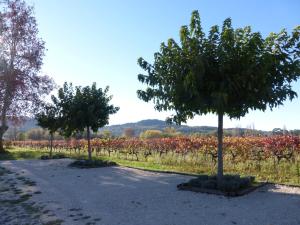 Le Leyrac photo 18
