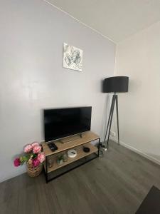 Appartements City & cosy, LYON CHARCOT- WIFI - LAVE LINGE - BALCON - PARKING : Appartement 1 Chambre