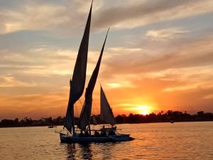 فلوكة نيلية