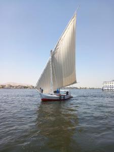 فلوكة نيلية