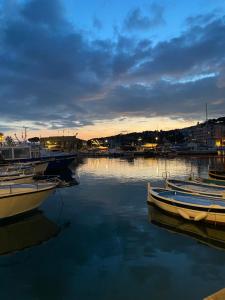 Appartements Cassis - Tres beau studio climatise a cote du port : photos des chambres