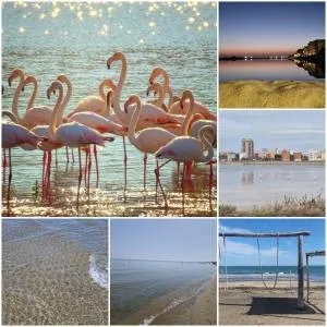 A casa di nonna Rosaria - Trinitapoli