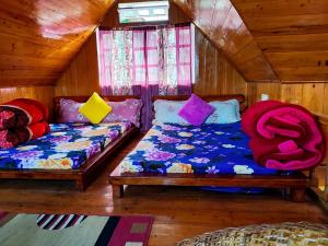 Solitude in the Himalayas