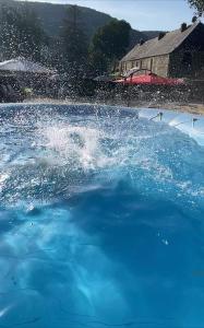 Maisons de vacances Gite Basilic Havre de Paix pour 7 Personnes au Coeur de la Nature et pres de la Meuse : photos des chambres