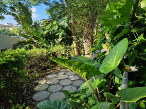 MaeStorm GardensAfrican apartement