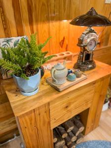 Đà Lạt 2019 homestay