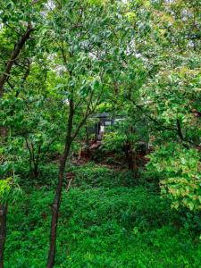 Wind over Waters Cabin 2