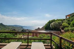 Violetta Nellie Sardinia Unlimited - Greuli 