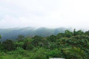 Hill view Homestay pullikkanam vagamon