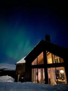 Soleiknuten Ålsheia Moderne Hytte i Naturskjønne Omgivelser - Haugen