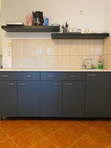 Lions Studio Dristor