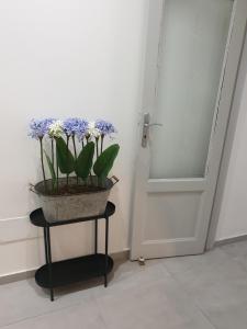 Teatro Massimo Bellini appartamento nuovo2+3ac